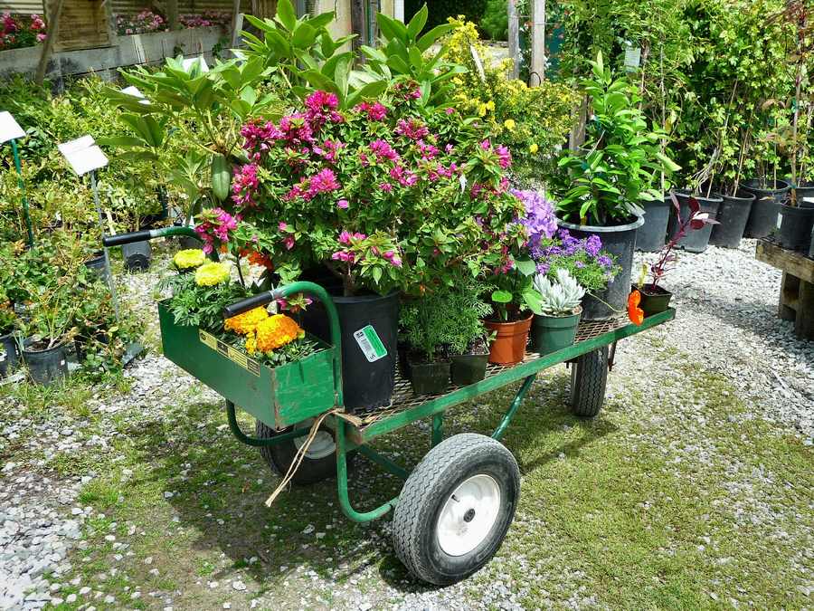 Spring 2010 Cart 5-22-2010 edit.JPG