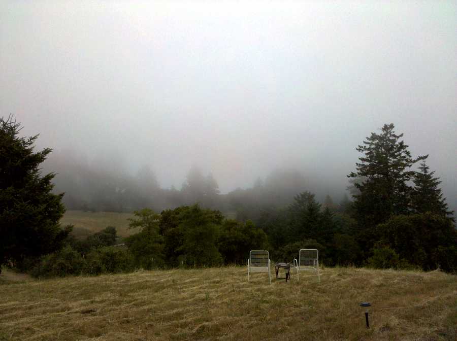 Foggy evening 6-24-2010.JPG