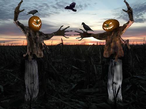 scarecrows.jpg