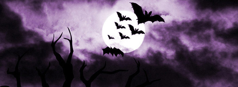 Frightnight Bats.jpg