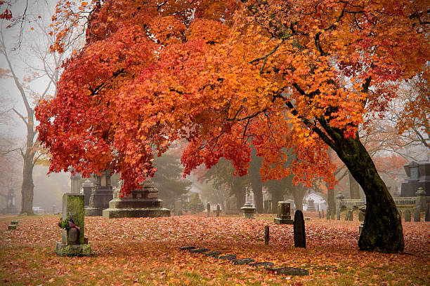 istockphoto-619058836-612x612.jpg